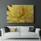 Blooms I - Canvas Art Print