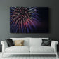 Sky Flower - Canvas Art Print