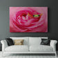 Hanging On VIII - Canvas Art Print