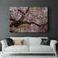 Spring's Arrival - Canvas Art Print