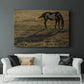 Long Shadow - Canvas Art Print
