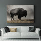Geyser Basin - Canvas Art Print