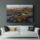 Anza Borrego Desert - Canvas Art Print