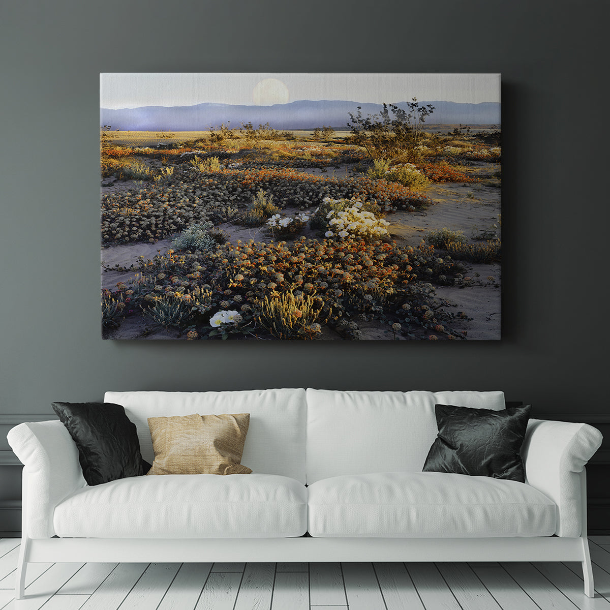 Anza Borrego Desert - Canvas Art Print