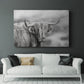 Roaming Isle of Skye - Canvas Art Print