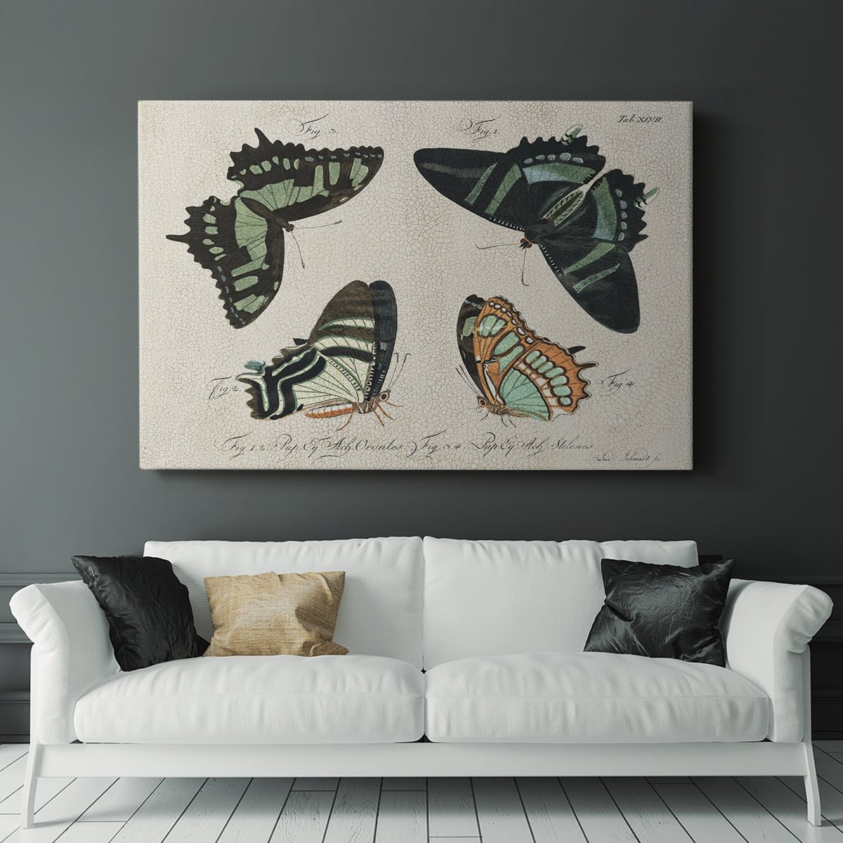 Crackled Butterflies III - Canvas Art Print