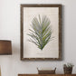 Palm Botanical I - Premium Canvas Framed in Barnwood - Ready to Hang