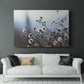 Spring Fluff - Canvas Art Print