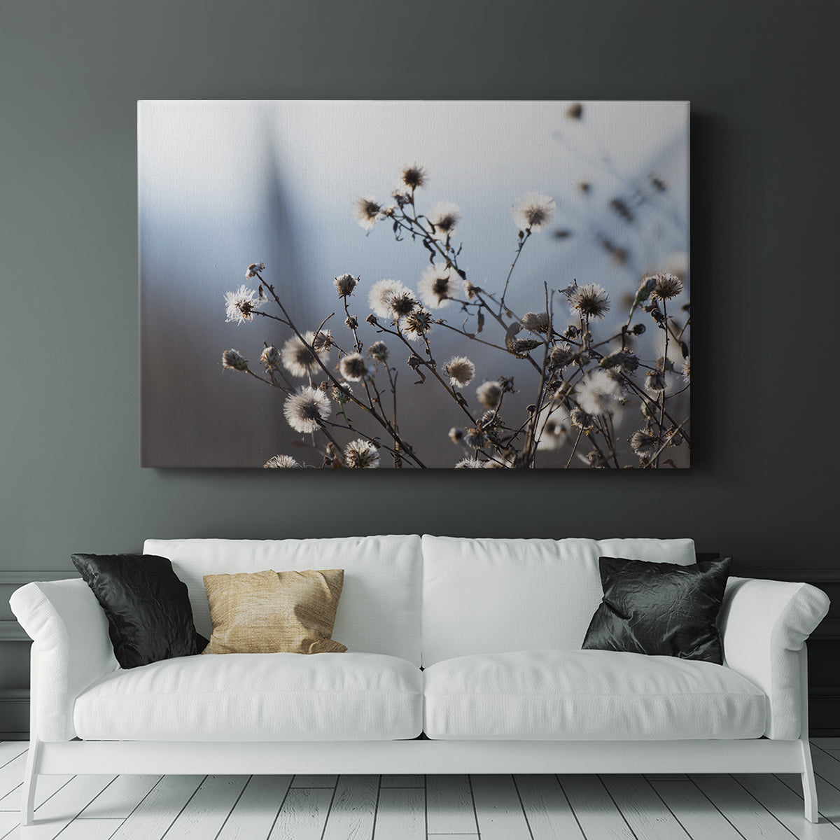 Spring Fluff - Canvas Art Print