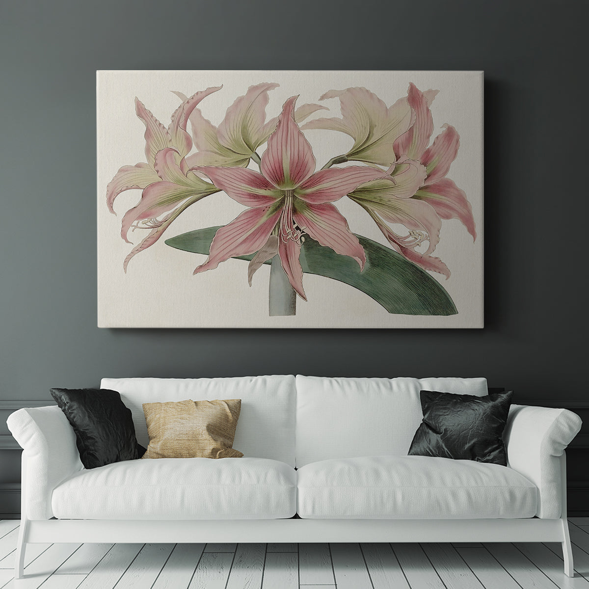 Amaryllis Varietals I - Canvas Art Print