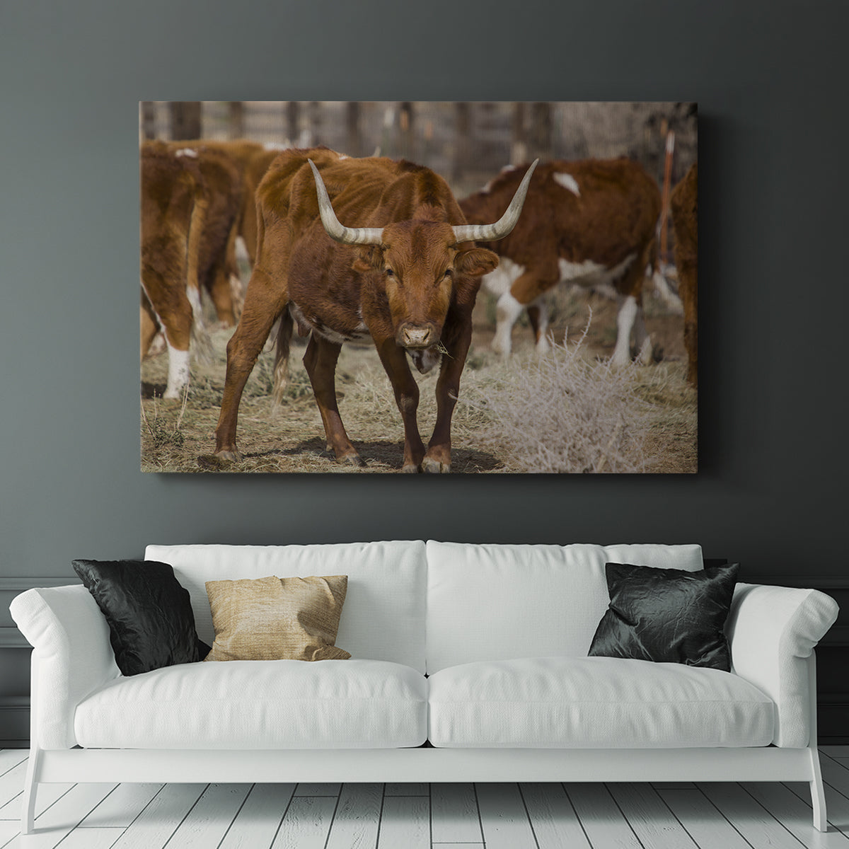 Longhorns - Canvas Art Print