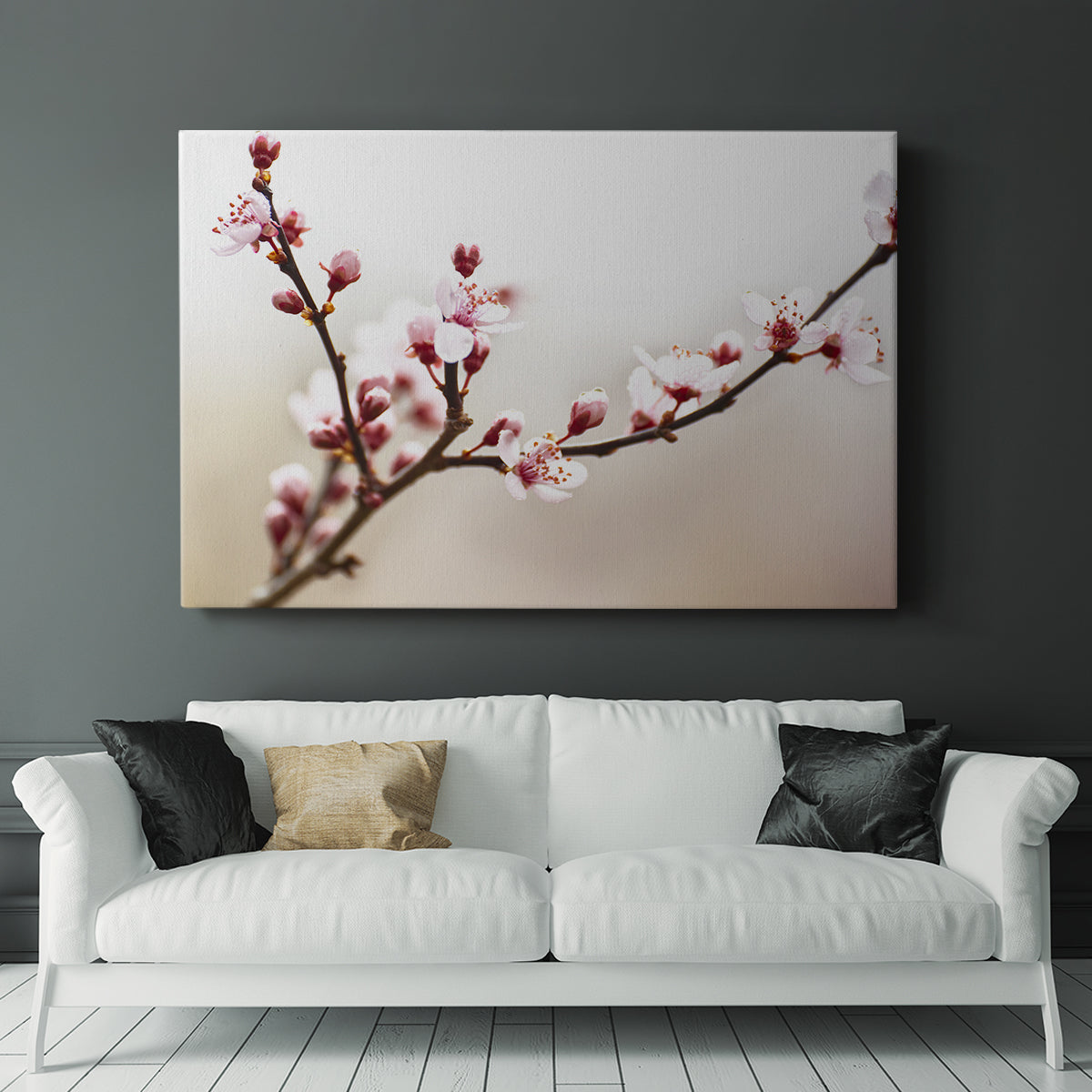 Cherry Blossom Study I - Canvas Art Print