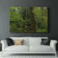 Calm of the Forest - Canvas Art Print