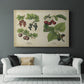Berries and Currants - Canvas Art Print