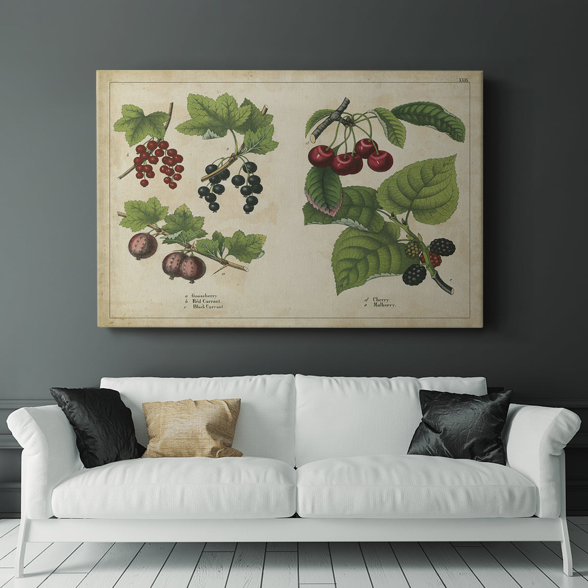 Berries and Currants - Canvas Art Print