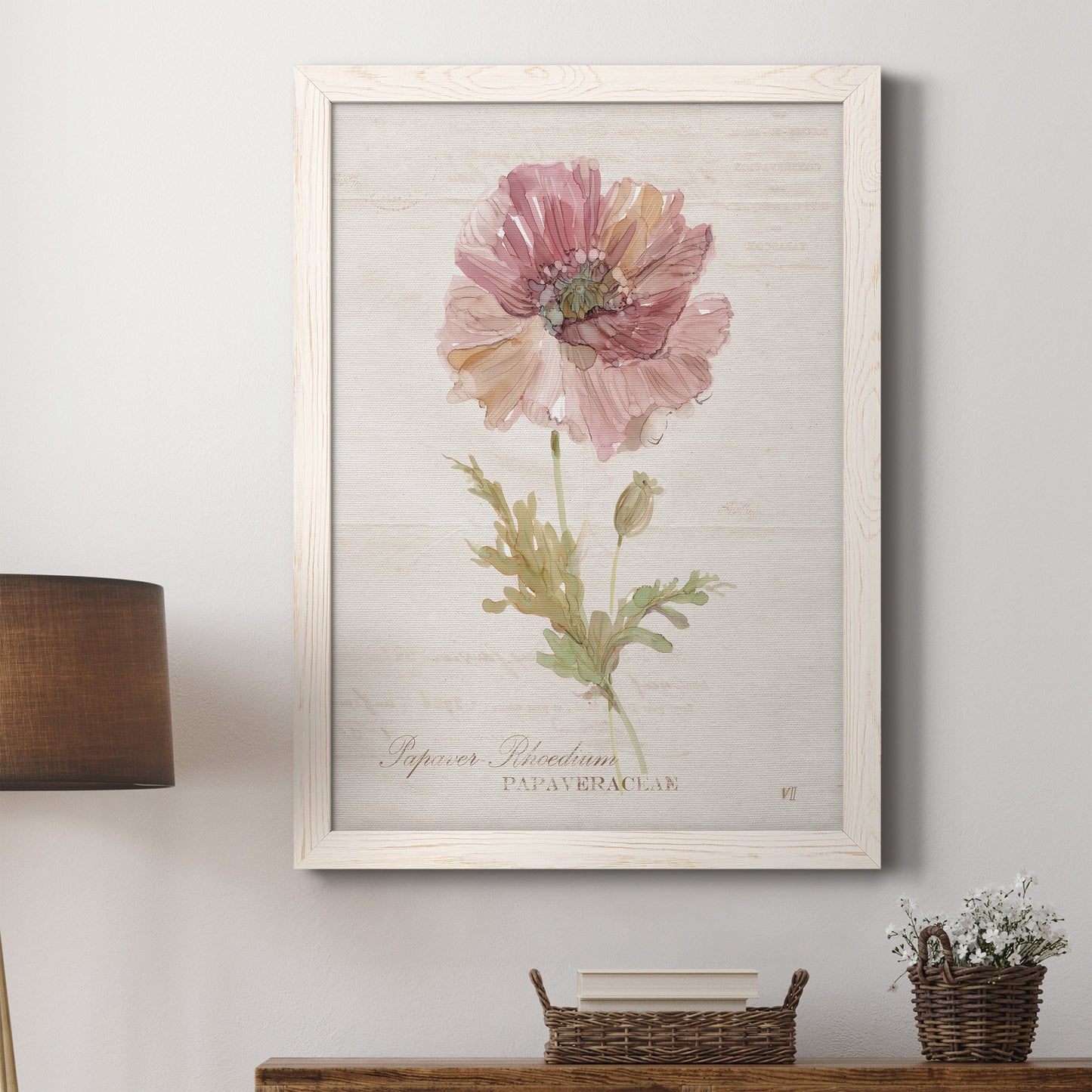 Soft Poppy - Premium Canvas Framed in Barnwood - Ready to Hang