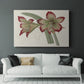 Amaryllis Varietals IV - Canvas Art Print