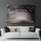 Timeless Plantation Drive - Canvas Art Print