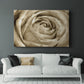 Neutral Wall Flower IV - Canvas Art Print
