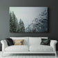 Snowfall in Cascadia II V1 - Canvas Art Print