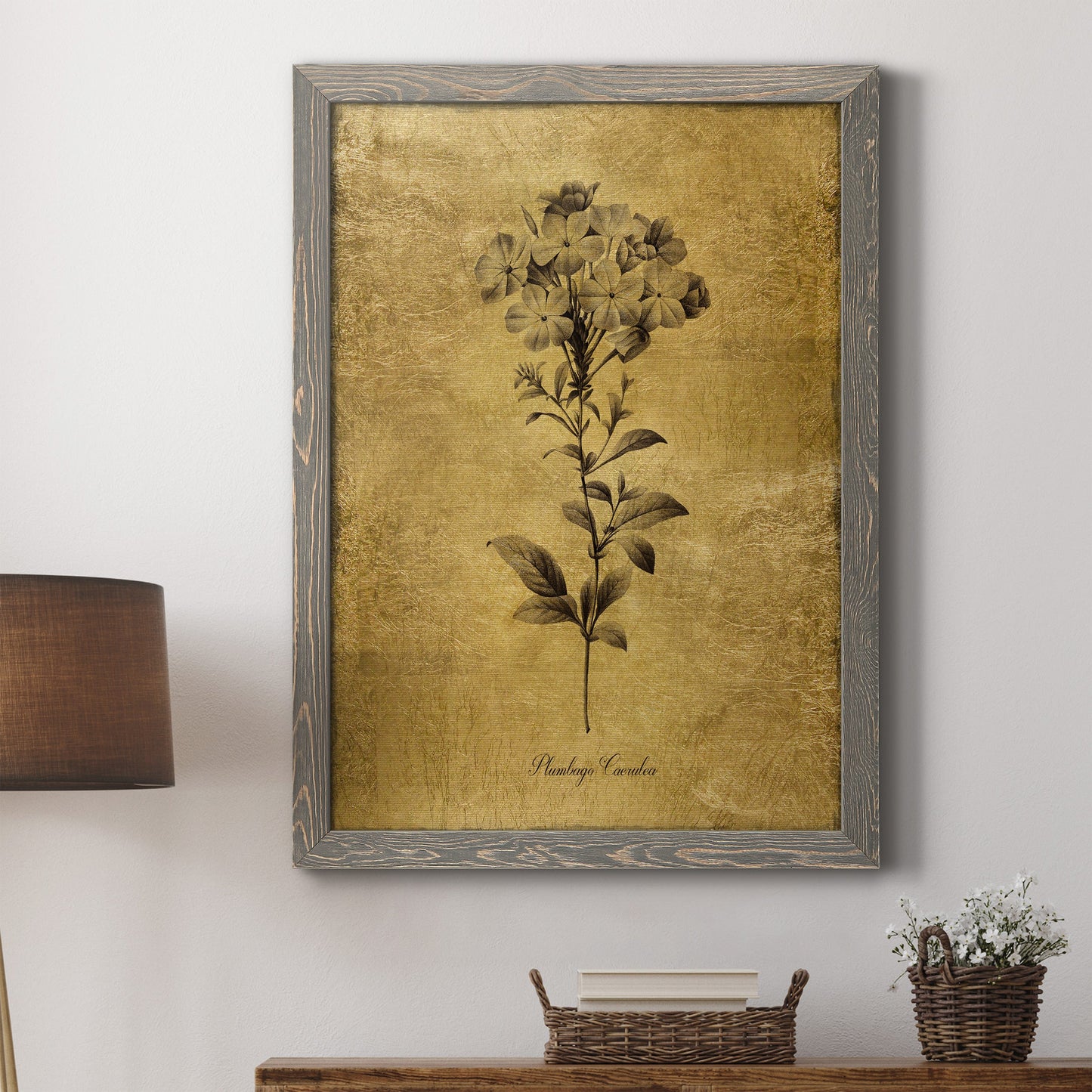 Gold Sketch Botanical II - Premium Canvas Framed in Barnwood - Ready to Hang