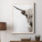 Highland Cattle - Premium Canvas Framed in Barnwood - Ready to Hang