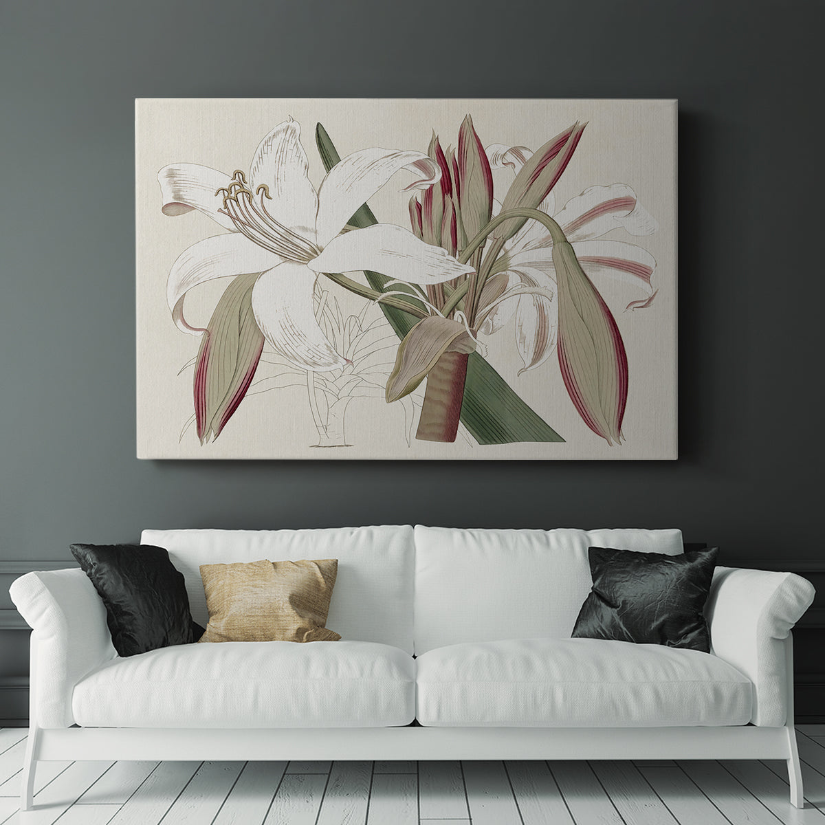 Amaryllis Varietals II - Canvas Art Print