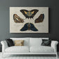 Crackled Butterflies IV - Canvas Art Print