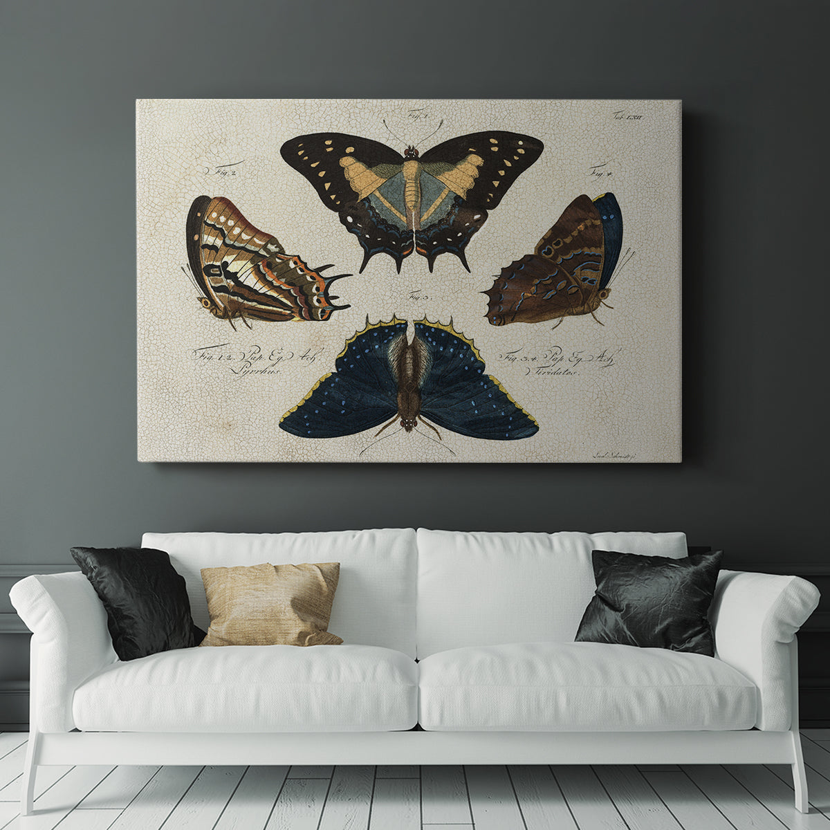 Crackled Butterflies IV - Canvas Art Print