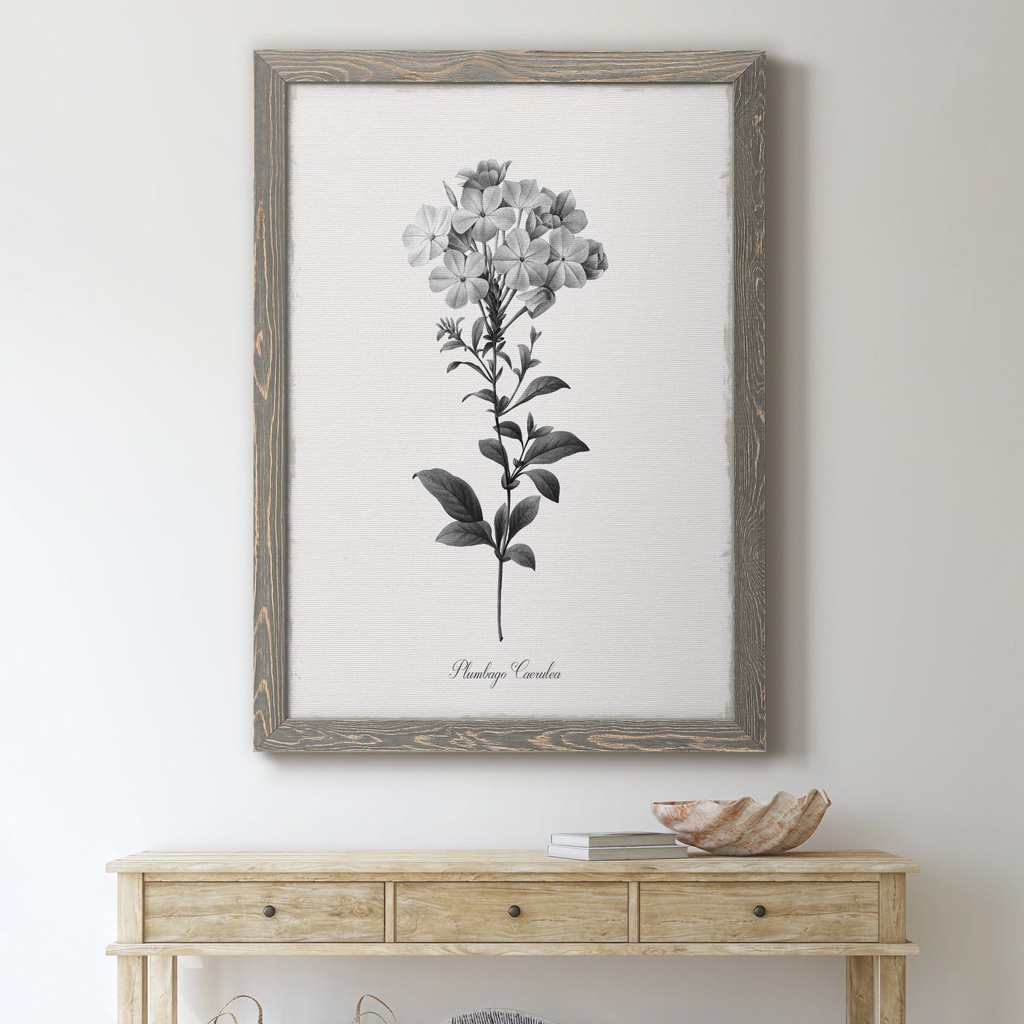 Simply Cape Leadwort - Premium Canvas Framed in Barnwood - Ready to Hang