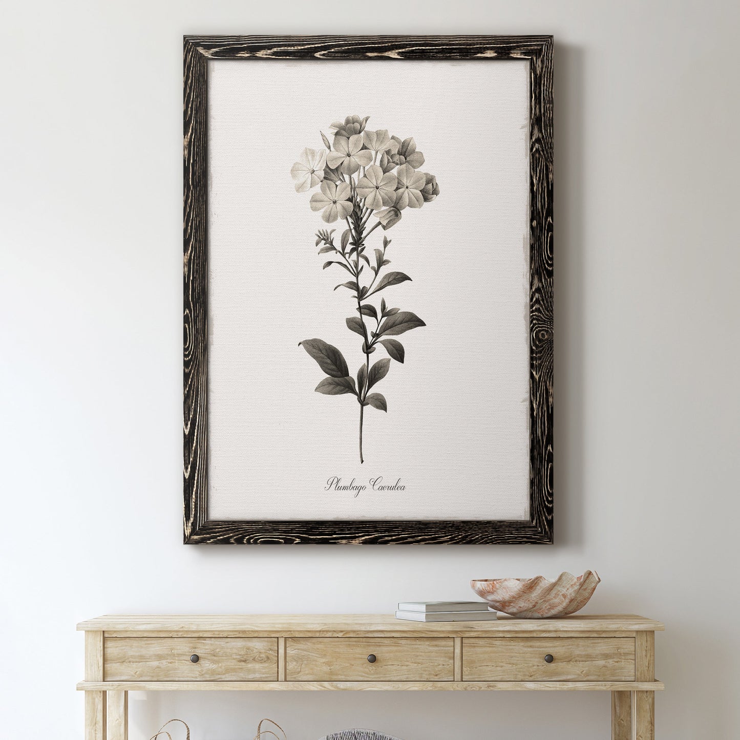 Sketchbook Leadwort - Premium Canvas Framed in Barnwood - Ready to Hang