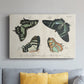 Crackled Butterflies III - Canvas Art Print
