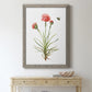 Wildflower Botanical III - Barnwood Framed Canvas Print