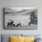 Mountain Elk - Canvas Art Print