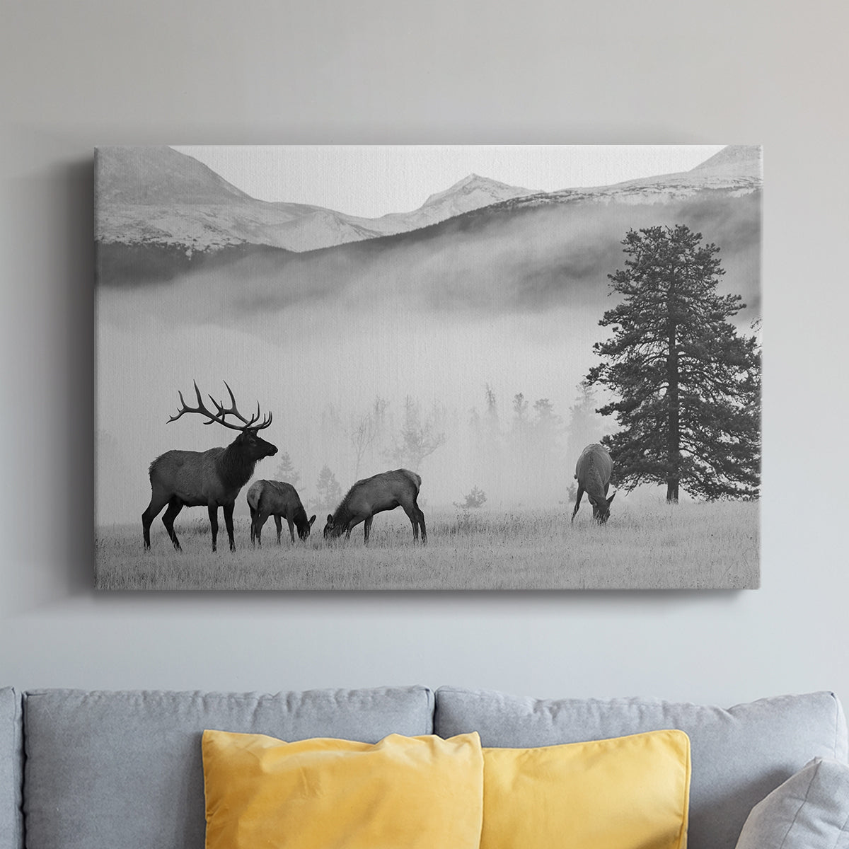 Mountain Elk - Canvas Art Print