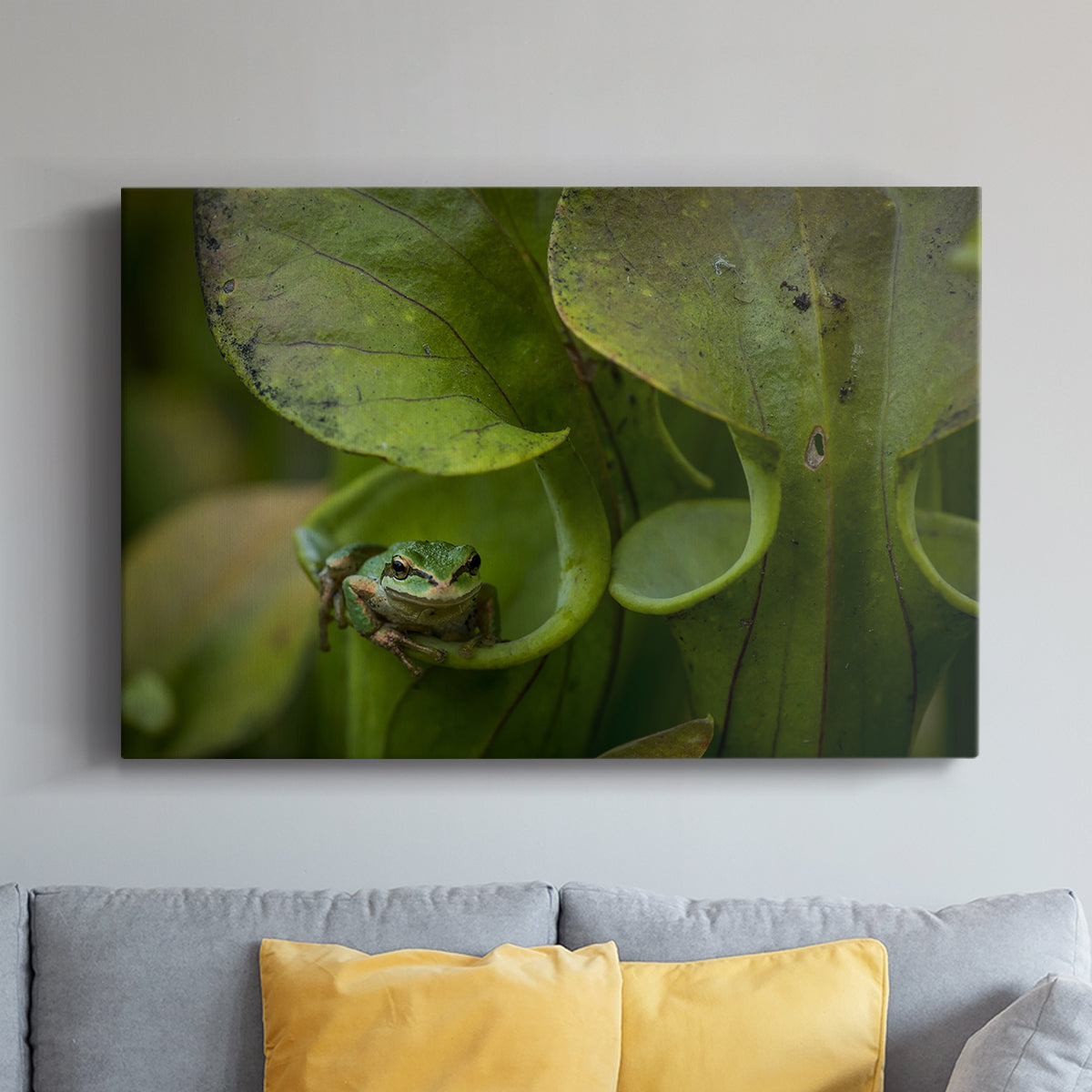 Arboreal Refuge - Canvas Art Print