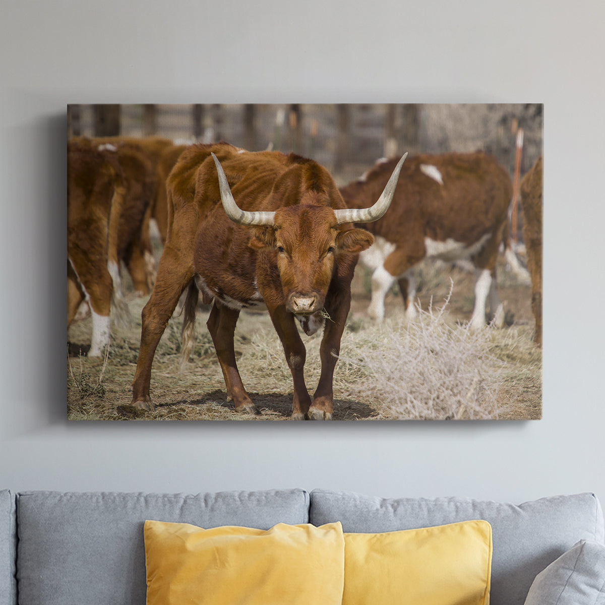 Longhorns - Canvas Art Print