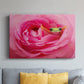 Hanging On VIII - Canvas Art Print