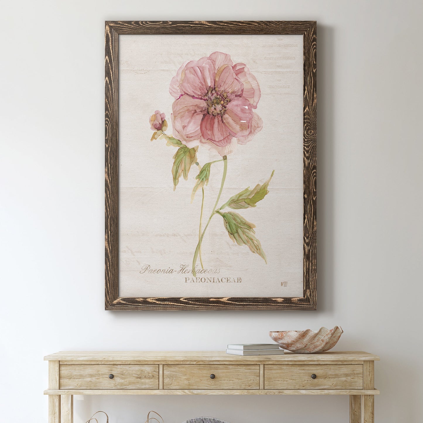 Soft Peony - Premium Canvas Framed in Barnwood - Ready to Hang