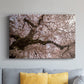 Spring's Arrival - Canvas Art Print