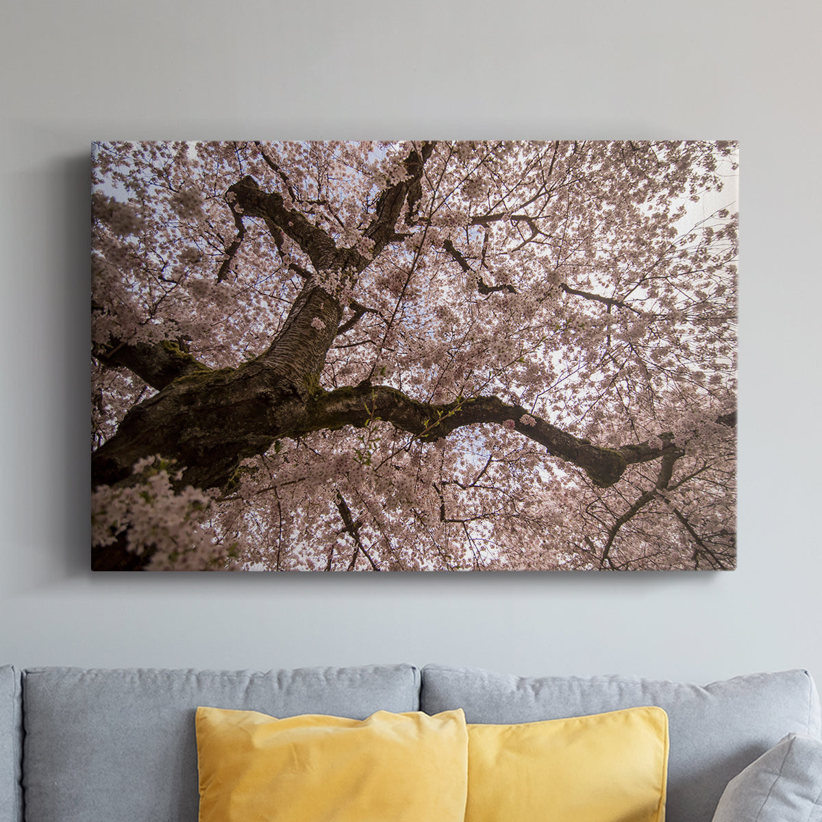 Spring's Arrival - Canvas Art Print