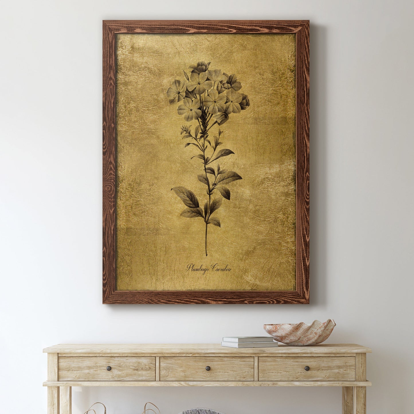 Gold Sketch Botanical II - Barnwood Framed Canvas Print
