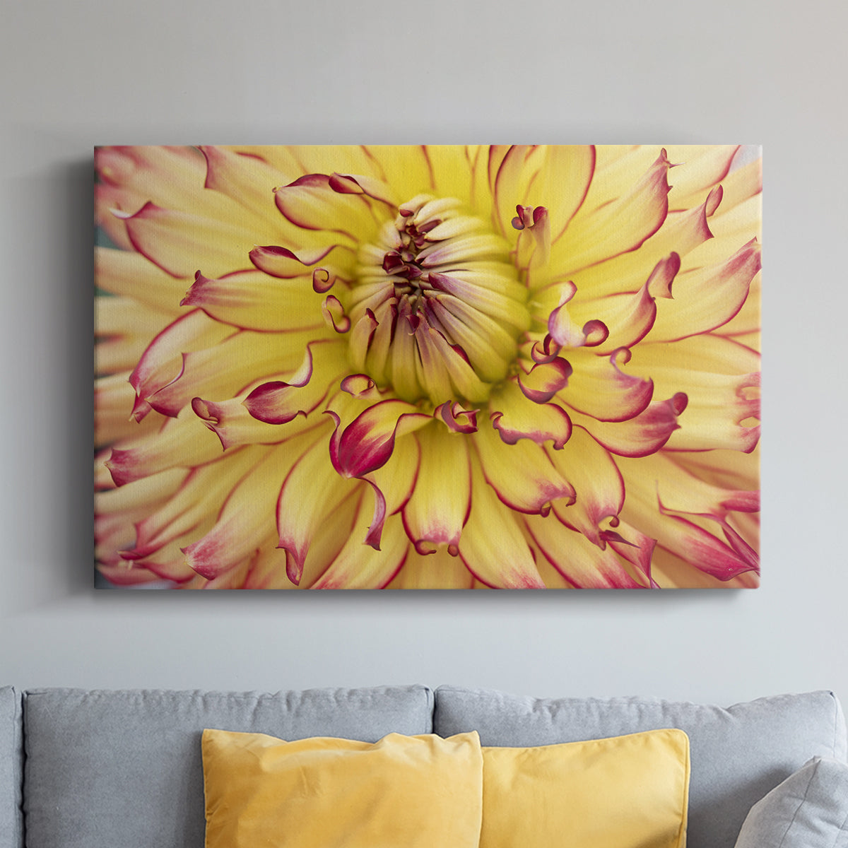 Blooms II - Canvas Art Print