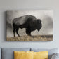 Geyser Basin - Canvas Art Print
