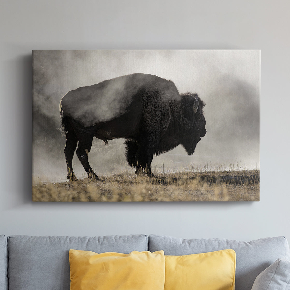 Geyser Basin - Canvas Art Print