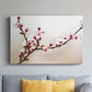 Cherry Blossom Study I - Canvas Art Print