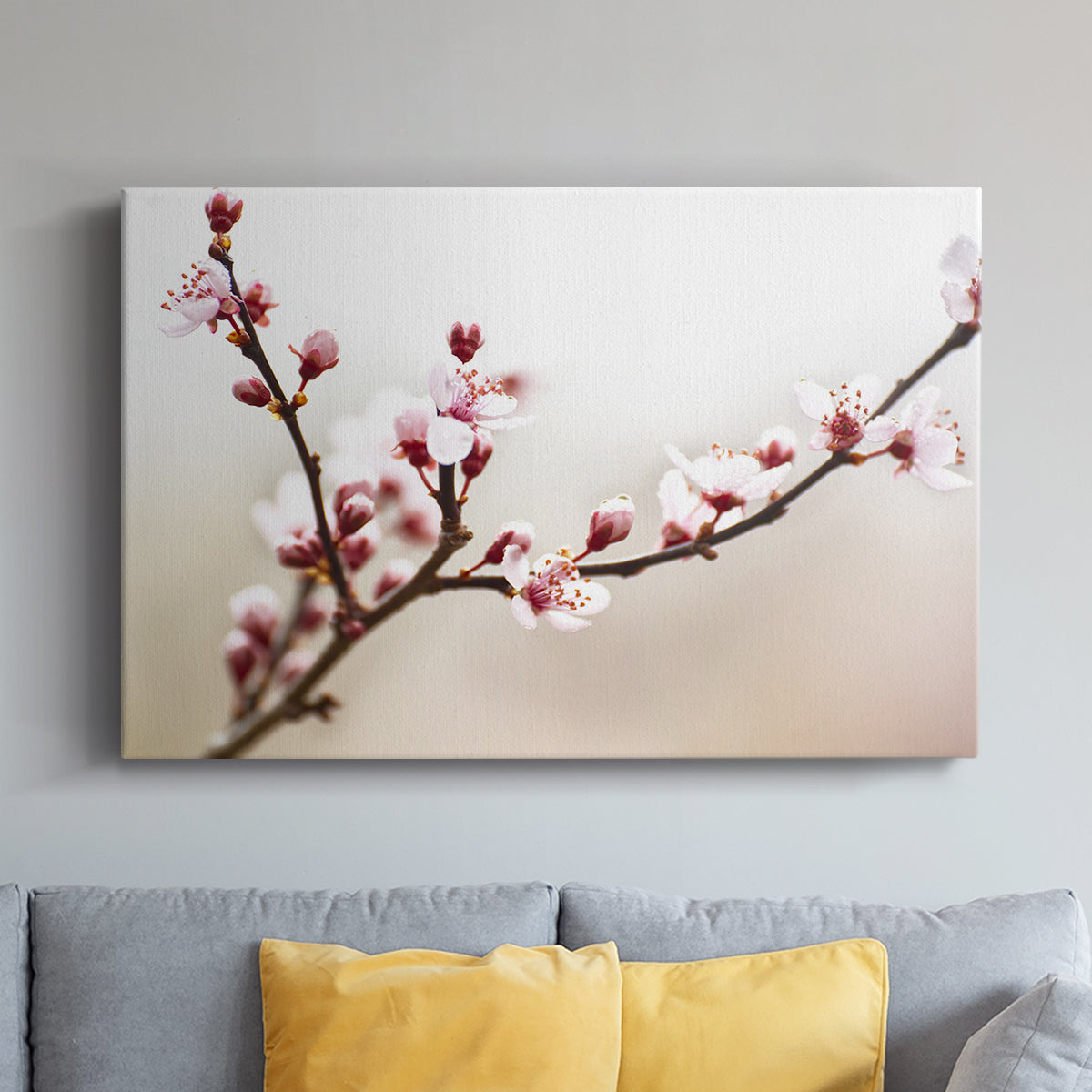 Cherry Blossom Study I - Canvas Art Print