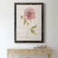 Soft Peony - Premium Canvas Framed in Barnwood - Ready to Hang