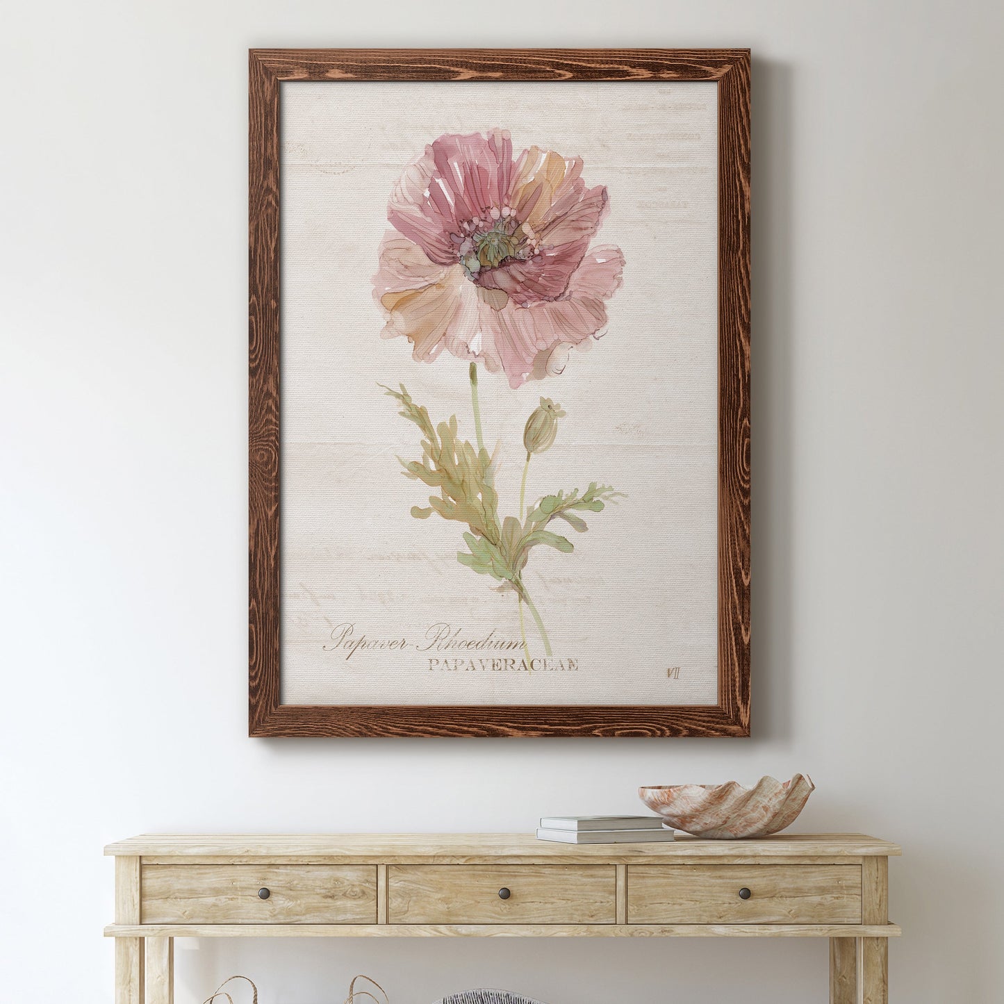 Soft Poppy - Premium Canvas Framed in Barnwood - Ready to Hang