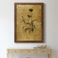 Gold Sketch Botanical I - Premium Canvas Framed in Barnwood - Ready to Hang